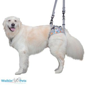 NEW Walkin Warrior Designer Rear Pet Harness